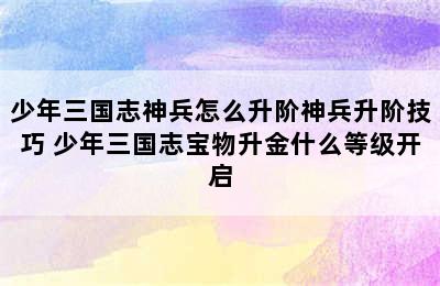 少年三国志神兵怎么升阶神兵升阶技巧 少年三国志宝物升金什么等级开启